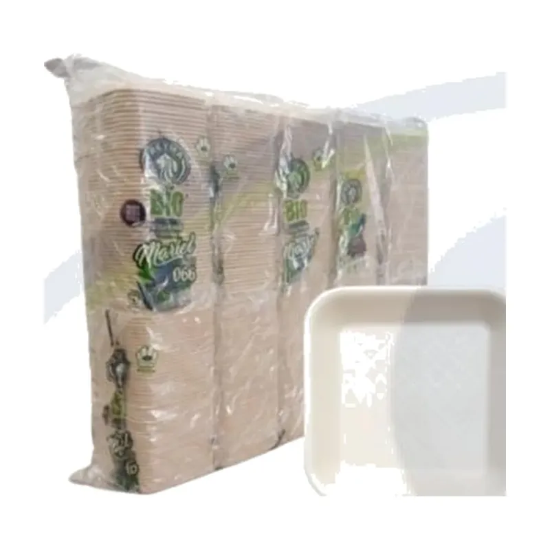 Charola térmica 066 biodegradable REYMA