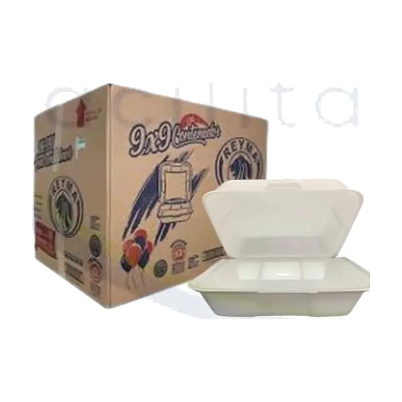Contenedor térmico 9×9 liso REYMA